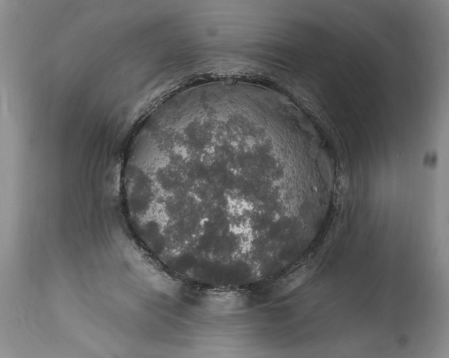 X0000113600454200910021745