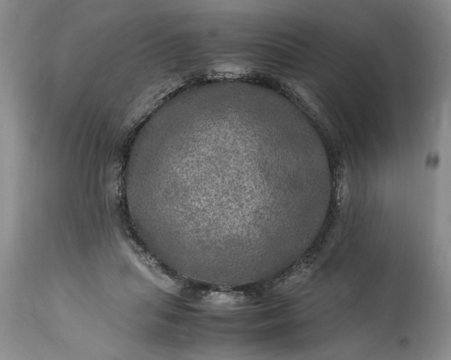 X0000113600455200910021745