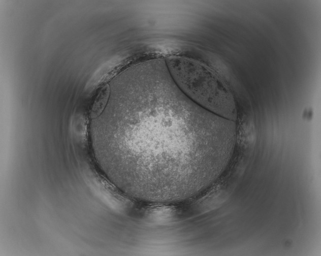 X0000113600456200910021745