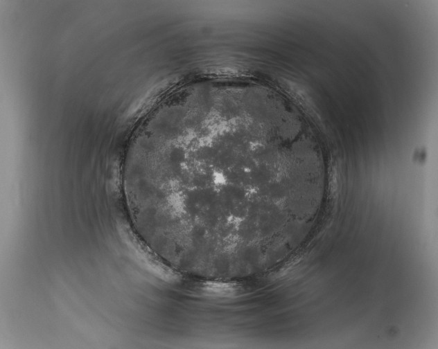 X0000113600457200910021745