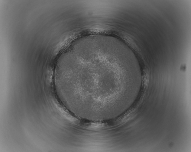 X0000113600458200910021745