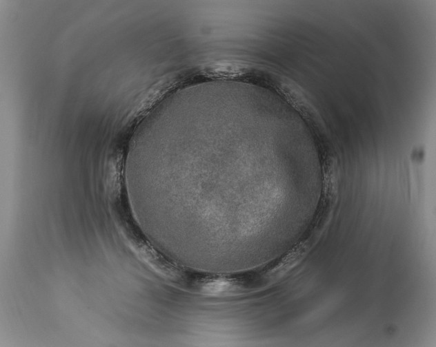 X0000113600460200910021745