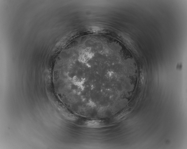 X0000113600461200910021745