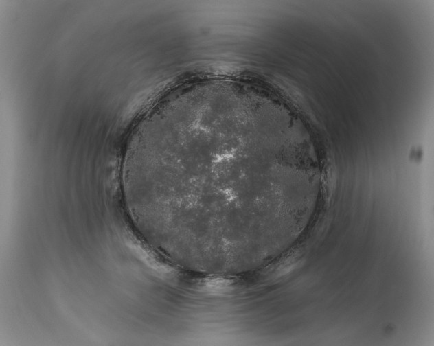 X0000113600462200910021745