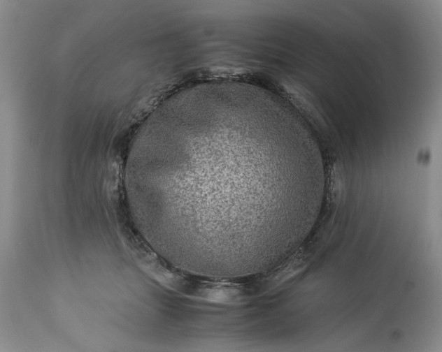 X0000113600463200910021745