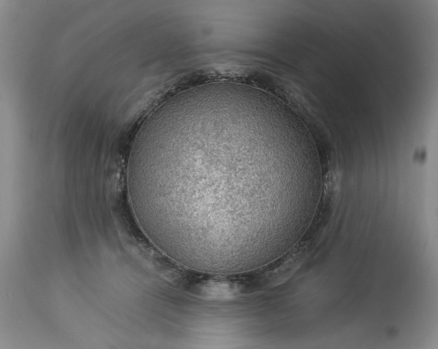 X0000113600464200910021745