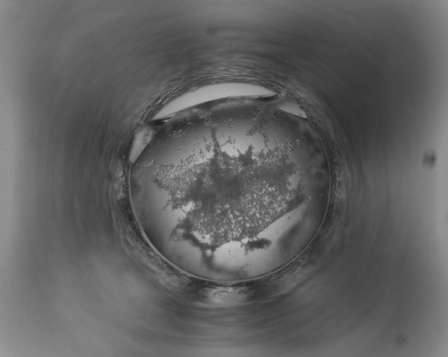 X0000113600465200910021745