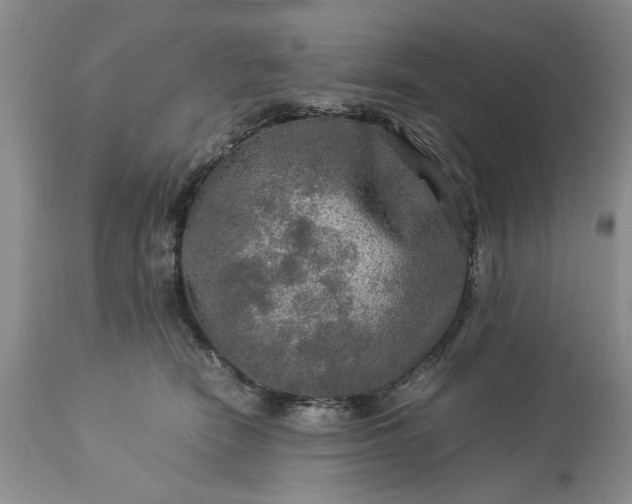 X0000113600466200910021745