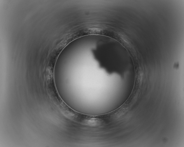 X0000113600467200910021745