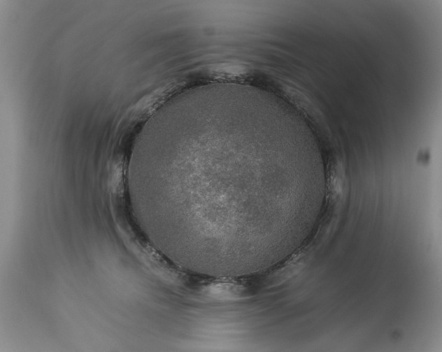 X0000113600468200910021745