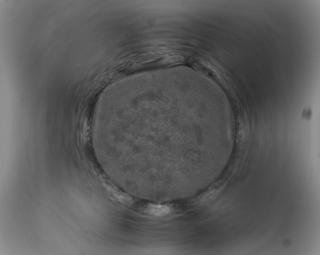 X0000113600469200910021745