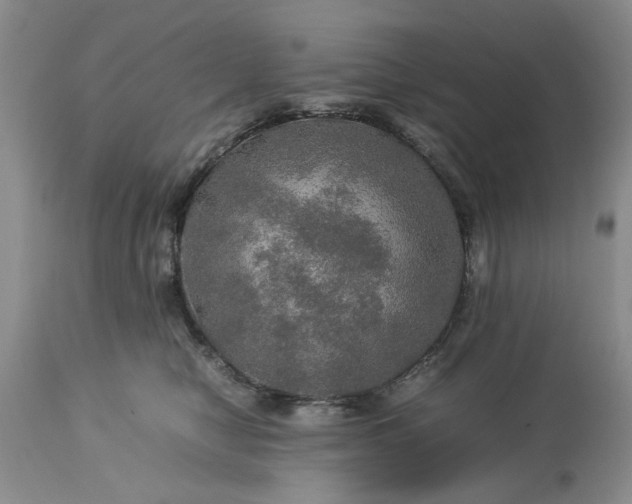 X0000113600470200910021745