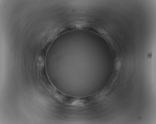 X0000113600471200910021745