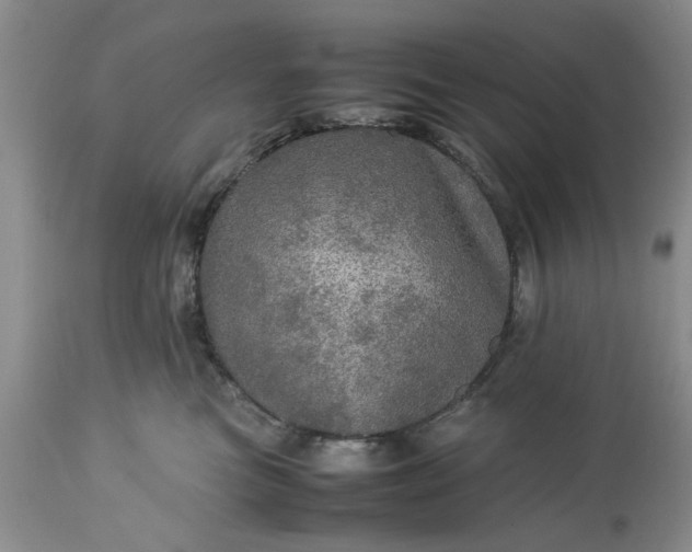 X0000113600473200910021745