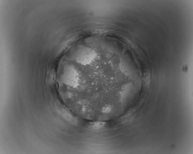 X0000113600474200910021745