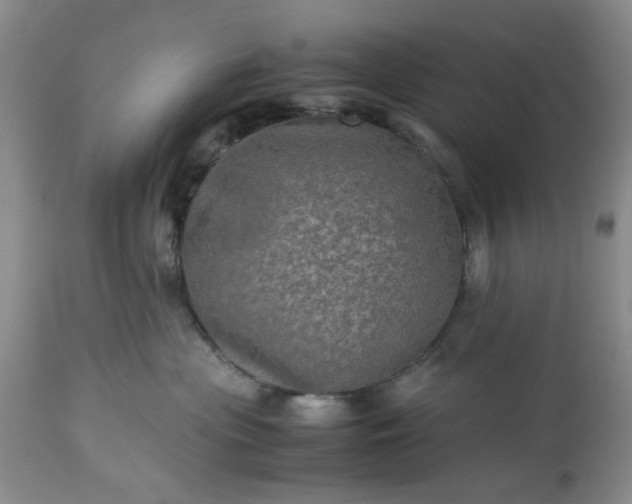 X0000113600477200910021745