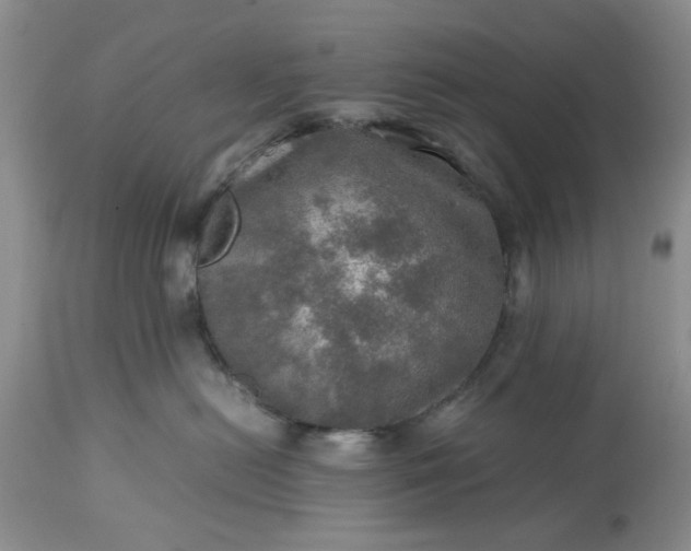 X0000113600478200910021745