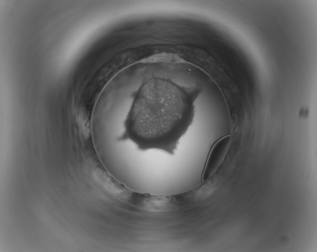 X0000113600479200910021745