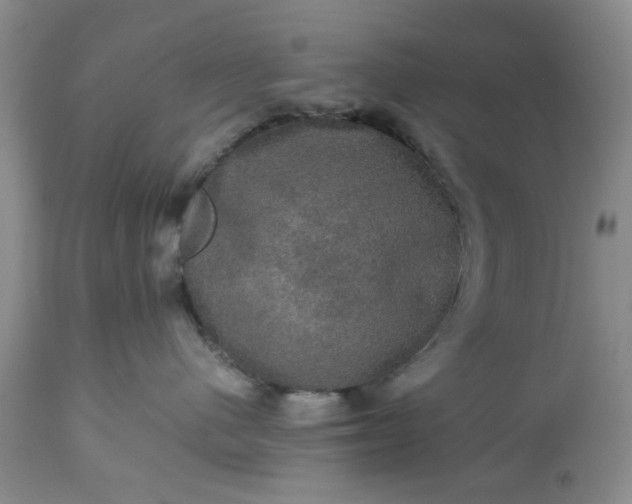 X0000113600480200910021745