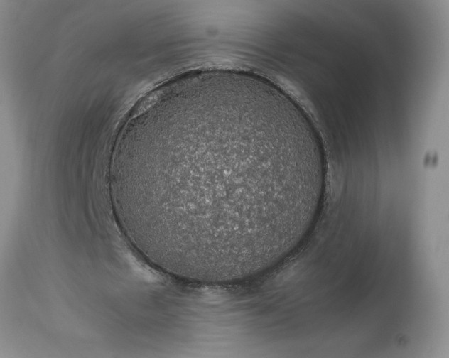 X0000113600481200910021744