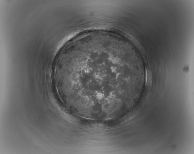 X0000113600483200910021744