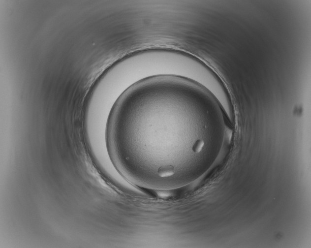 X0000113600485200910021744