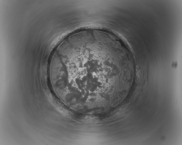 X0000113600487200910021744