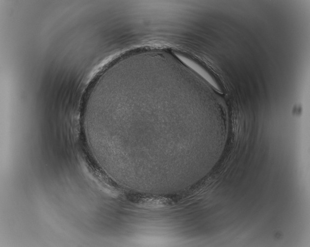 X0000113600488200910021744