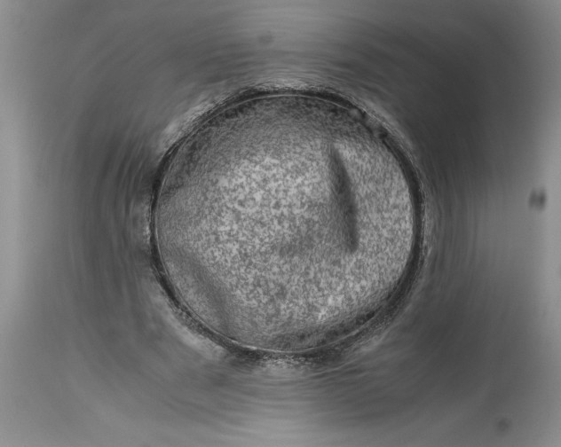 X0000113600489200910021744