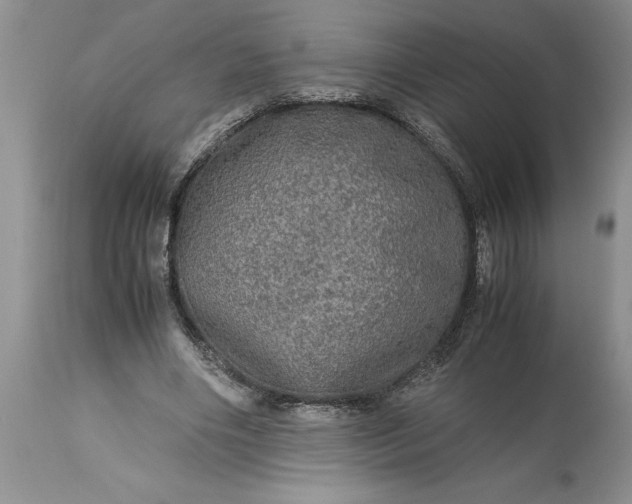 X0000113600490200910021744