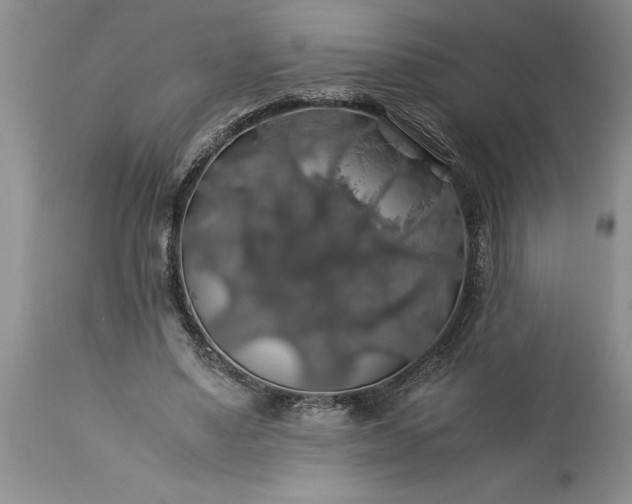 X0000113600491200910021744