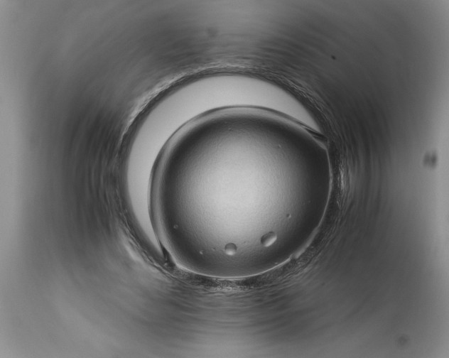 X0000113600492200910021744