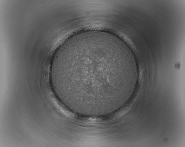 X0000113600493200910021744