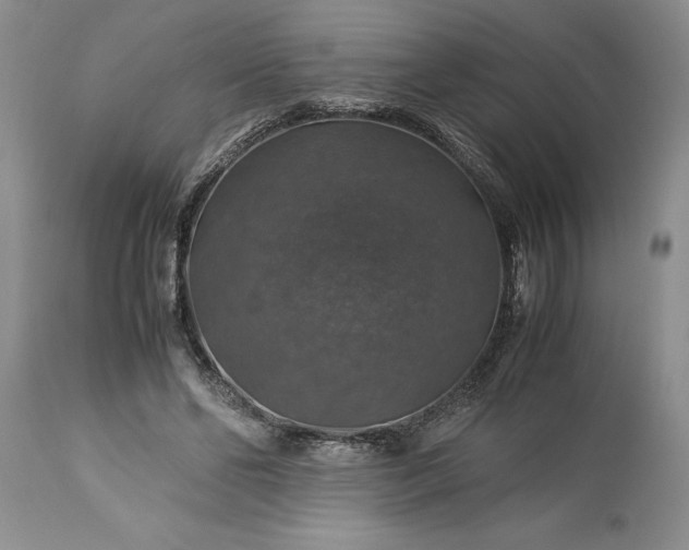 X0000113600494200910021744