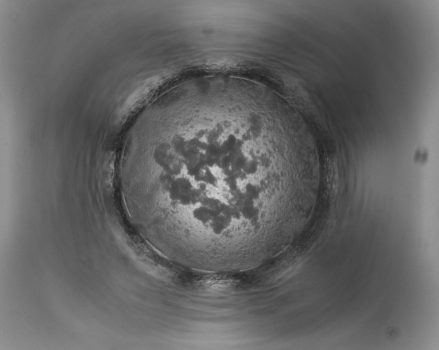 X0000113600495200910021744