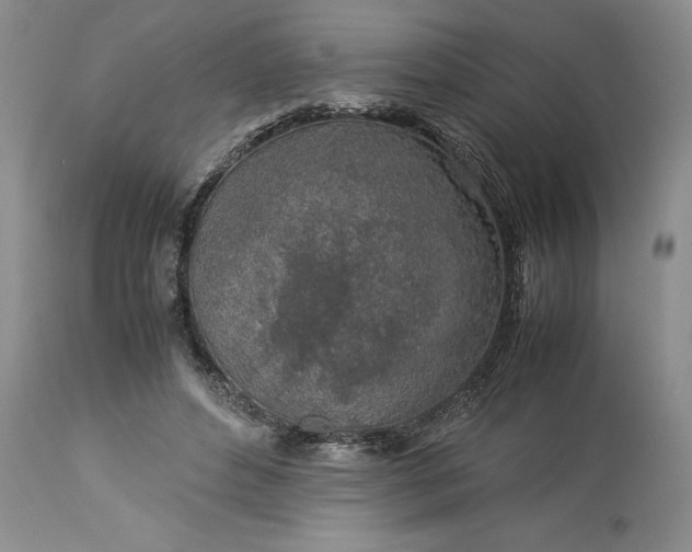 X0000113600496200910021744