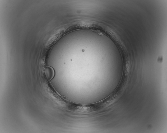 X0000113600497200910021744