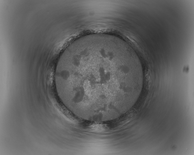 X0000113600499200910021744