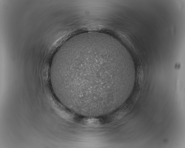 X0000113600501200910021744