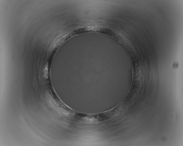 X0000113600502200910021744