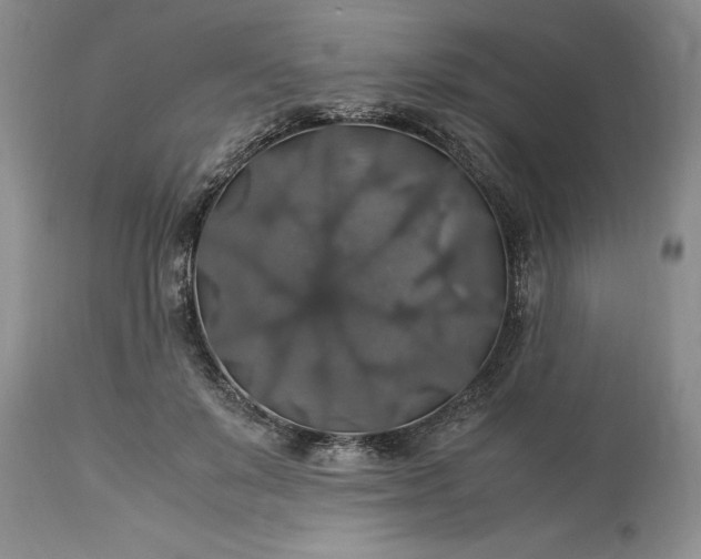 X0000113600503200910021744