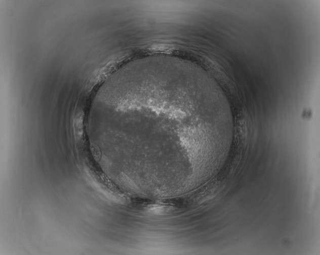 X0000113600504200910021744