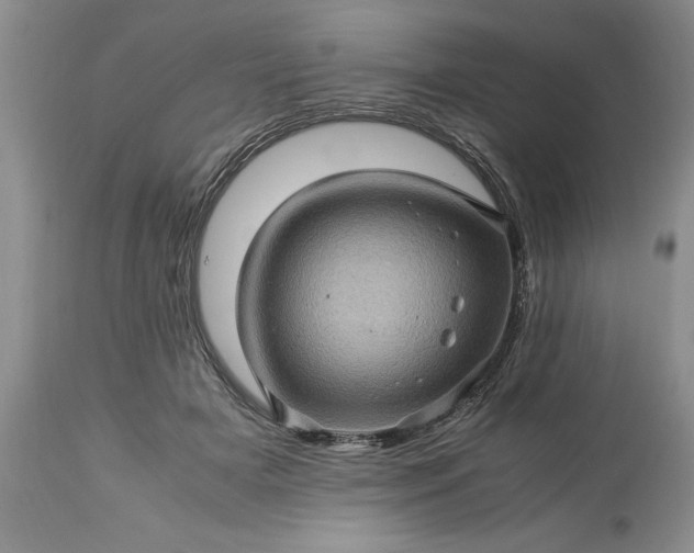 X0000113600505200910021744