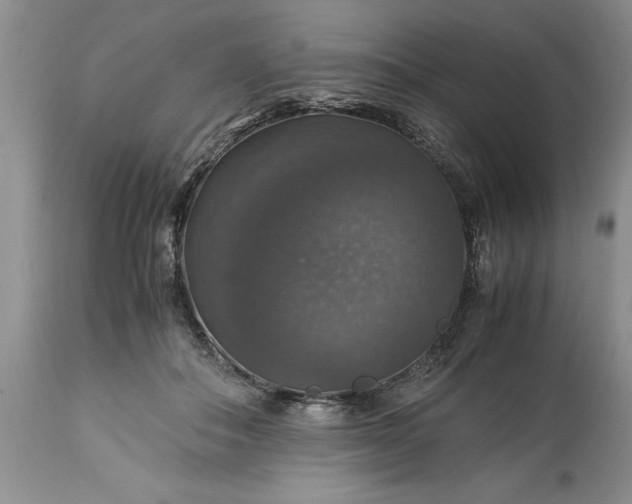 X0000113600506200910021744