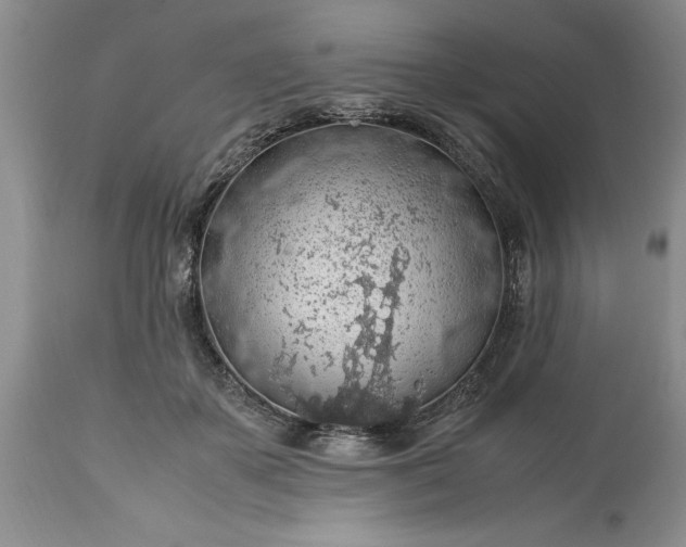 X0000113600507200910021744