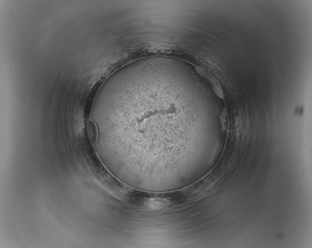 X0000113600508200910021744