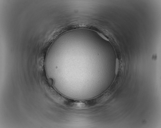 X0000113600509200910021744