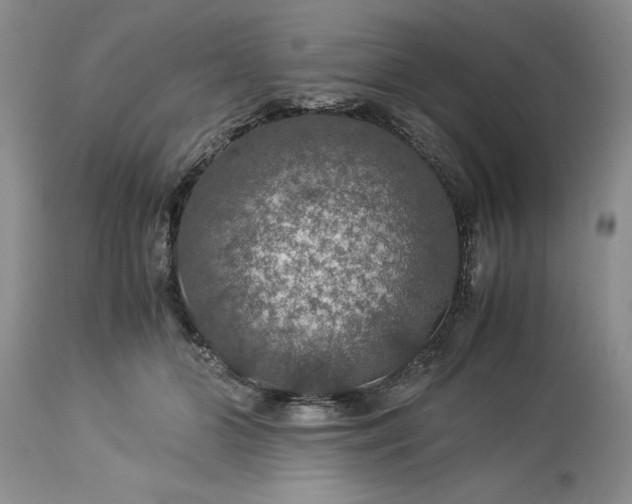 X0000113600510200910021744