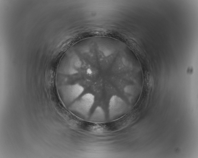 X0000113600511200910021744