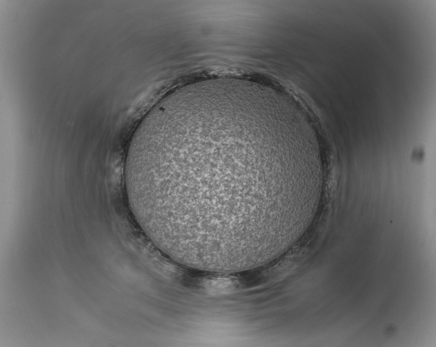 X0000113600513200910021744